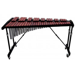 ALFABETO ORCHESTRA R44