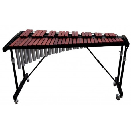 ALFABETO ORCHESTRA R44