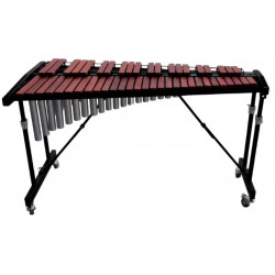 ALFABETO ORCHESTRA R49