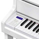 Casio Celviano Grand Hybrid GP-310WH