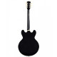 Sigma Semi-Hollow HBA-102P-BK