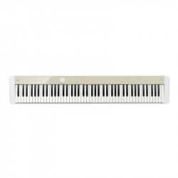 Casio Privia PX-S1100MB