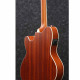 Ibanez TCY12E-OPN