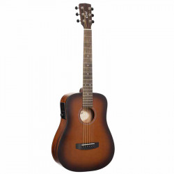 Cort Earth GO (Open Pore Brown Burst)