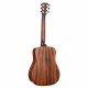 Cort Earth GO (Open Pore)