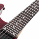 Schecter C-1 Standard (Blood Burst)