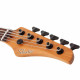 Schecter C-5 Standard (Tobacco Burl)
