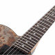 Schecter PT Standard (Black Fade Burst Burl)