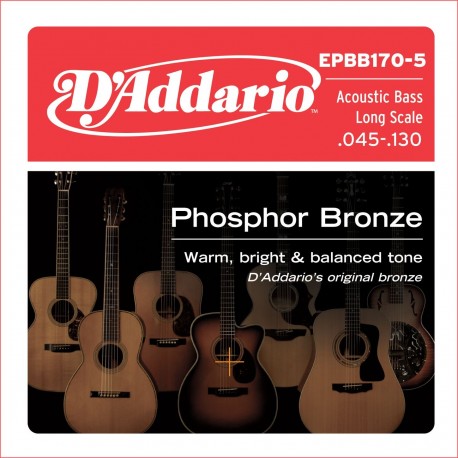 D`ADDARIO EPBB170-5 ACOUSTIC BASS PHOSPHOR BRONZE 5 STRING