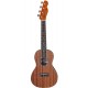 FENDER UKULELE MINO AKA CONCERT NT