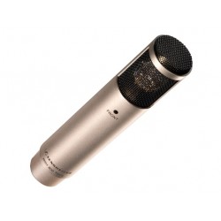 SENNHEISER MKH 800 TWIN NI