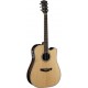 CORT PW560 NAT W/CASE