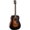 CORT Earth300V SB