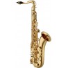 MAXTONE SXC29 TL