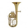 MAXTONE TAC53 RNL