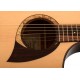 IBANEZ AEW22CD NT