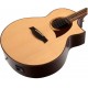 IBANEZ AEW22CD NT