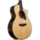 IBANEZ AEW22CD NT