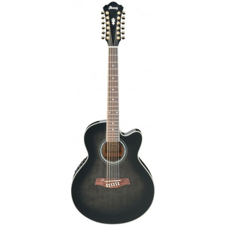 IBANEZ AEL2012E TKS