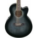 IBANEZ AEL2012E TKS