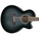 IBANEZ AEL2012E TKS