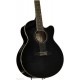 IBANEZ AEL2012E TKS