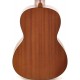 FENDER UKULELE HAU'OLI ALL LAMINATE