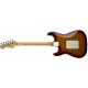 FENDER STANDARD STRATOCASTER PLUS TOP FR RW TBS