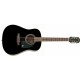 EPIPHONE DR-100 EBONY CH HDWE