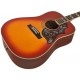 EPIPHONE HUMMINGBIRD PRO FCB