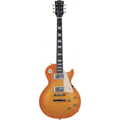 ESP EDWARDS E-LP-98LTS (VHB)