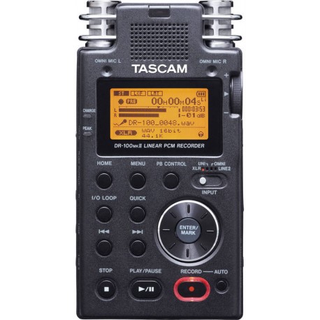 TASCAM DR-100 MK2