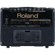 ROLAND KC110