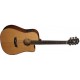 WASHBURN WD160 SWCE