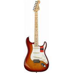 FENDER AMERICAN PROFESSIONAL STRATOCASTER (ASH) MN SSB