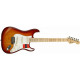 FENDER AMERICAN PROFESSIONAL STRATOCASTER (ASH) MN SSB