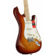 FENDER AMERICAN PROFESSIONAL STRATOCASTER (ASH) MN SSB