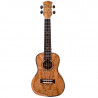 PARKSONS UK24FS