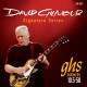 GHS STRINGS DAVID GILMORE RED SIGNATURE