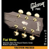 GIBSON SEG-1040ML FLATWIRES STAINLESS STEEL FLATWOUND
