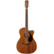 FENDER PM-3 TRIPLE-0 ALL MAHOGANY WITH CASE NATURAL