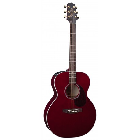 TAKAMINE EG430S-WR