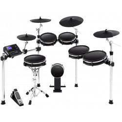 ALESIS DM10 MKII PRO KIT