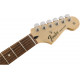 FENDER STANDARD STRATOCASTER HSS PAU FERRO FINGERBOARD BROWN SUNBURST