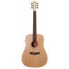 NORMAN 039777 - Expedition Nat Solid Spruce SG Isyst