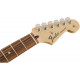 FENDER STANDARD STRATOCASTER PAU FERRO ARCTIC WHITE