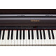 ROLAND RP501RCR