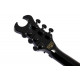 SCHECTER SYNYSTER GATES CUSTOM-S BLK/SIL