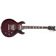 SCHECTER S-1 STC