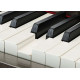 YAMAHA CLAVINOVA CLP-665GP PE